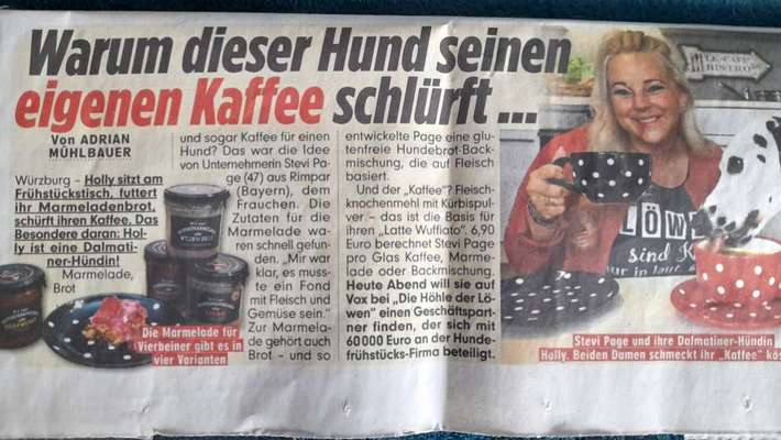 🐾Vermenschlichung🐾-Beitrag-Bild