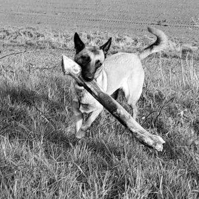 Foto-Challenge 76: Foto in Schwarz-Weiss-Beitrag-Bild