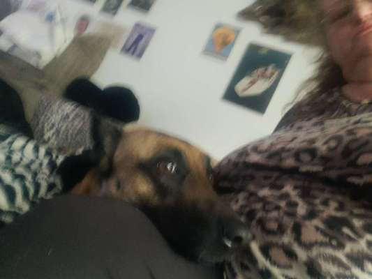 Un...scharf Bilder-Beitrag-Bild