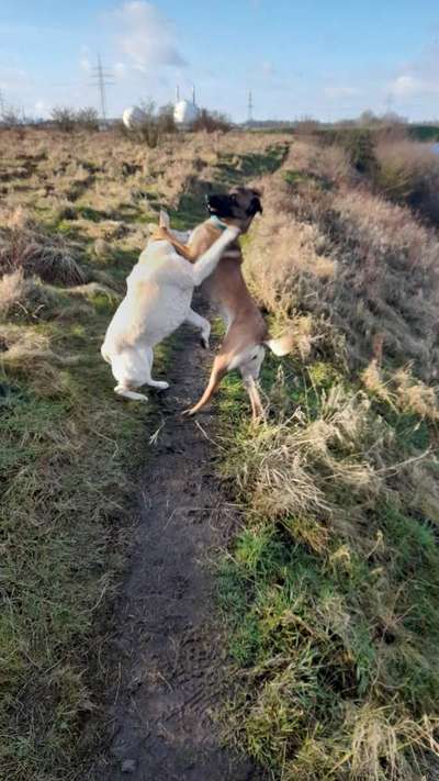 Un...scharf Bilder-Beitrag-Bild