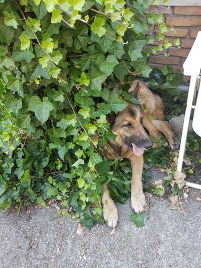 4. Lustiger Schlafplatz-Beitrag-Bild