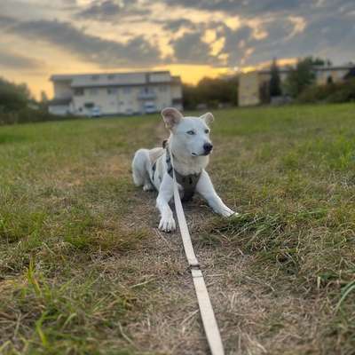 Stehenbleiben-Beitrag-Bild