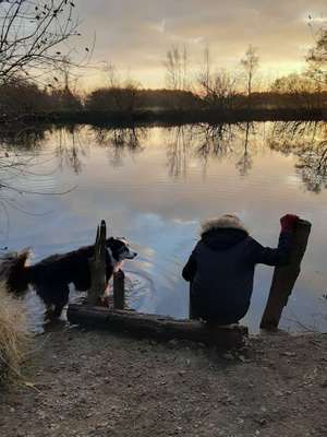 Hundeauslaufgebiet-Legeraderwald See-Bild