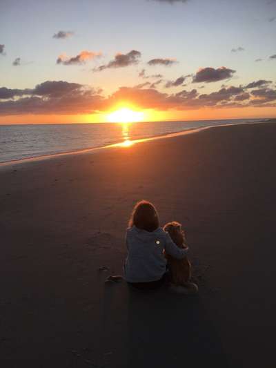 Challenge 33 - Du und dein Hund-Beitrag-Bild