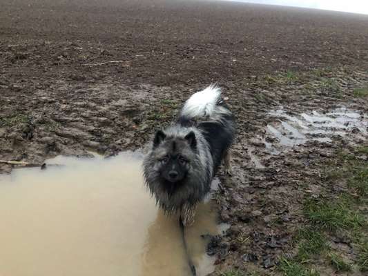 Zeigt mir doch mal eure Dreckspätze-Beitrag-Bild