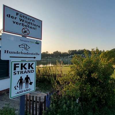 Hundestrand-Hundestrand FKK-Strand Talsperre Pöhl / Helmsgrün-Bild