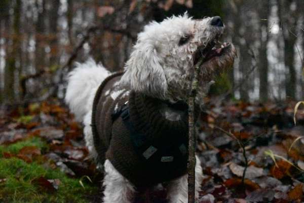 Her mit dem Grimassen-Beitrag-Bild