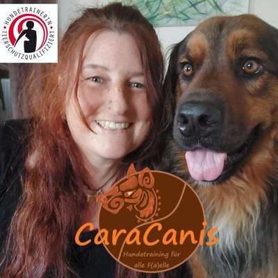 Hundeschulen-CaraCanis Hundetraining-Bild