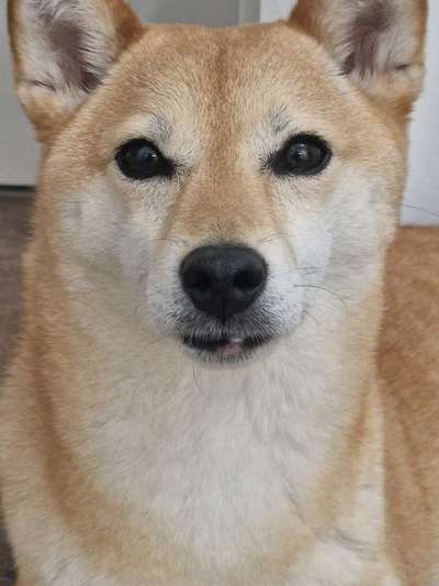 Rote Stelle - Unterlippe-Beitrag-Bild