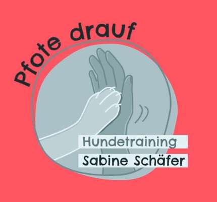 Hundeschulen-Hundetraining „Pfote drauf“-Bild