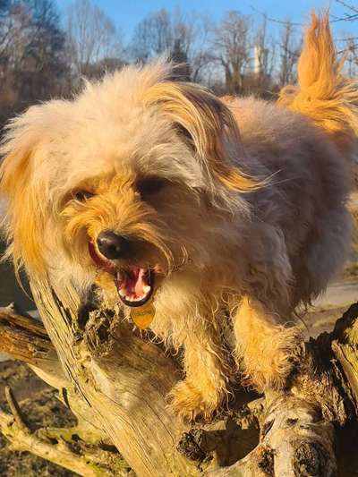 146. Foto Challenge: Maulaufreisser-Beitrag-Bild