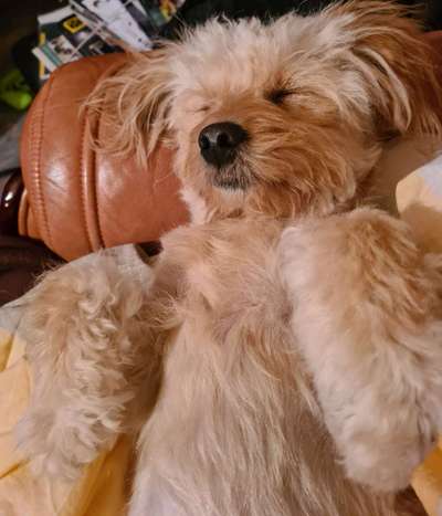 FOTO-Challenge  NR. 91: Die pure Entspannung-Beitrag-Bild