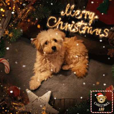 It's beginning to look a lot like.....-Beitrag-Bild