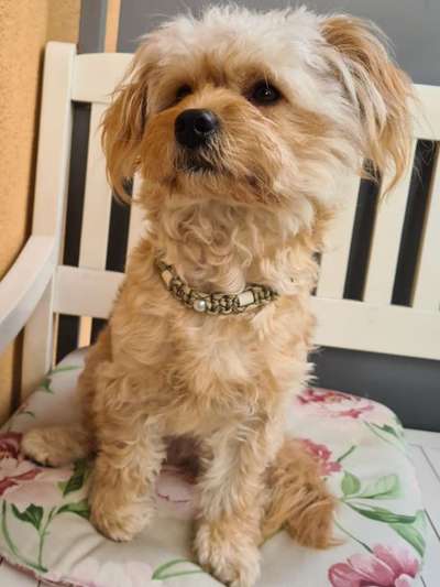 Fotochallenge Nr. 29 - Accessoires-Beitrag-Bild