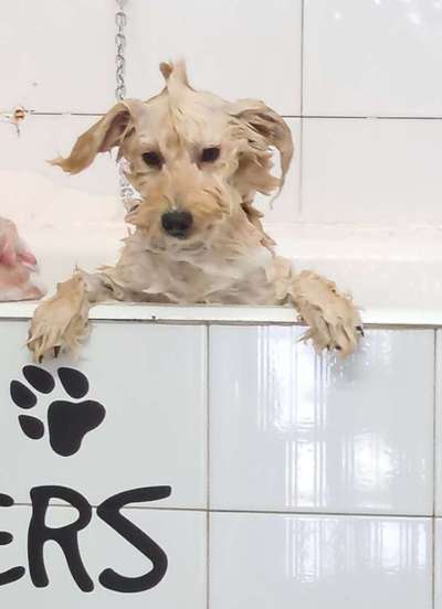 Foto Challenge Nr.133-Beitrag-Bild