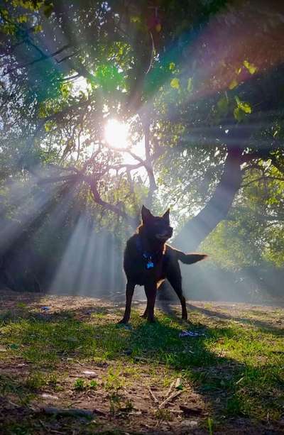 Farben Fotochallenge Sonnenlicht-Beitrag-Bild