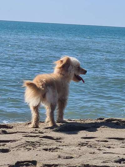 Foto-Challange No.1 - Alles aber nicht die Kamera-Beitrag-Bild