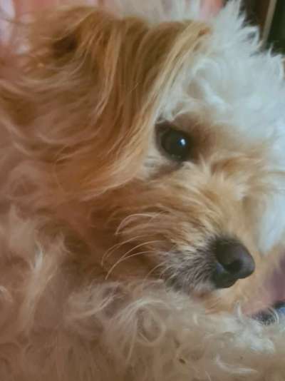 Blick fürs Detail!-Beitrag-Bild