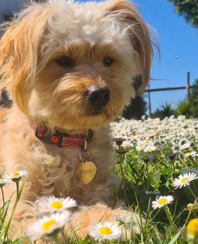 Fotochallenge 78

Es grünt und blüht-Beitrag-Bild