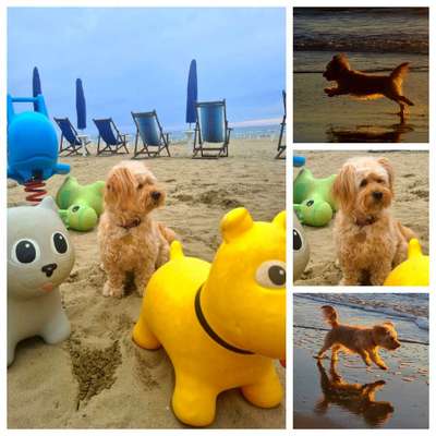 37. Collagen Challenge- Am Strand-Beitrag-Bild