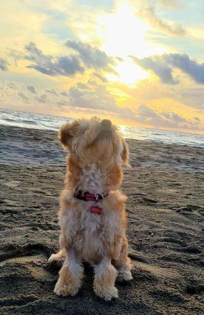 FOTOCHALLENGE 86-Beitrag-Bild