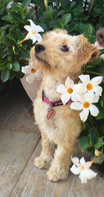 Lieblingsbild-Beitrag-Bild