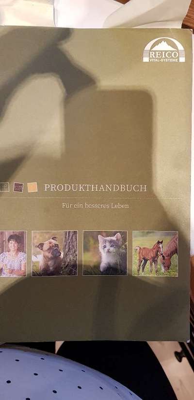 Allergiker Hund-Beitrag-Bild