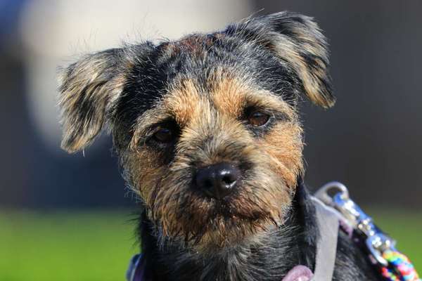 Fotochallange Nr. 57     PORTRÄT.   Beendet!!!!!!!!-Beitrag-Bild