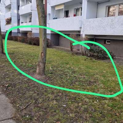 Giftköder-Schneckenkorn oder Rattengift-Bild