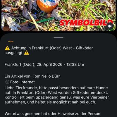 Giftköder-Würstchen mit Rattengift!!!-Bild