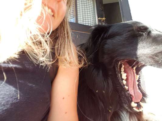 Die lustigsten Selfies mit Deinem Hund !-Beitrag-Bild