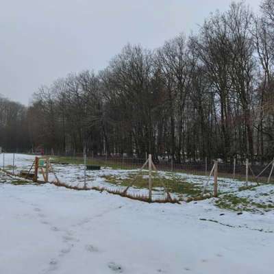 Hundeauslaufgebiet-Hundeauslauf Golfclub Mudau-Bild