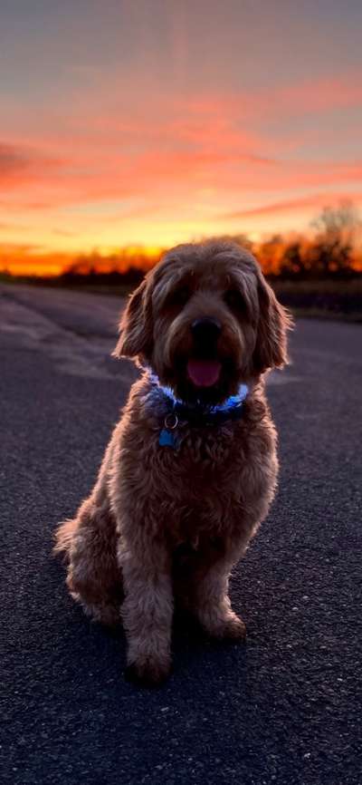 Ton in Ton-Beitrag-Bild