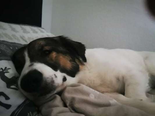 Blick fürs Detail!-Beitrag-Bild