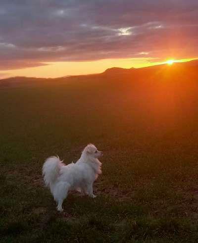 Sonnenaufgänge oder - untergänge-Beitrag-Bild