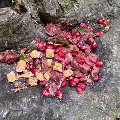 Giftköder-Giftköder? (Wittelsbacherbrücke, Isar)-Bild