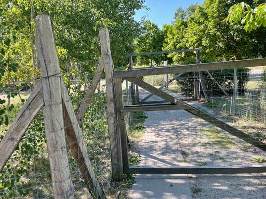 Hundeauslaufgebiet-Potsdamer Allee-Bild