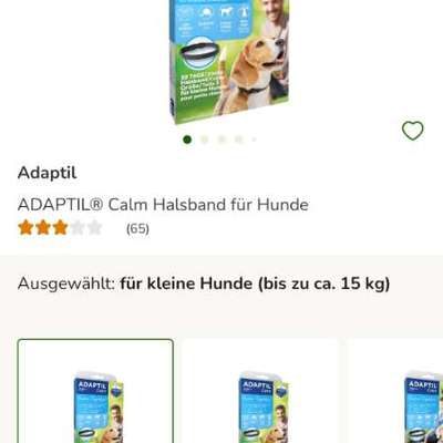 Hundebox als Trainingsmethode-Beitrag-Bild