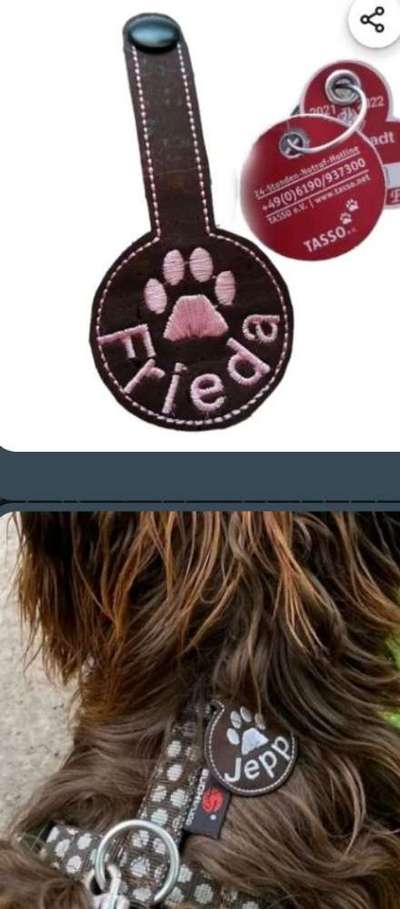 Steuermarke-Beitrag-Bild