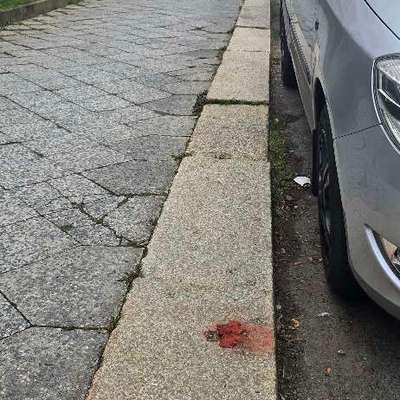 Giftköder-Rote Masse !-Bild