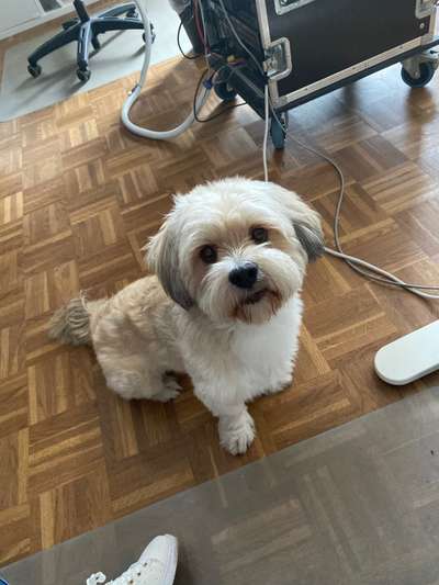 Doppelgänger gesucht !-Beitrag-Bild