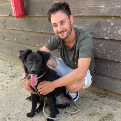 Hundetreffen-Spielerunde/ Spazieren-Bild