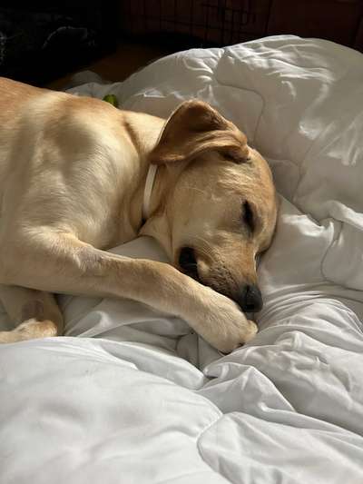 Foto Challenge Nr. 134-Beitrag-Bild