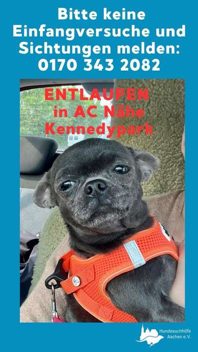 Suchmeldung-Süsi-Bild