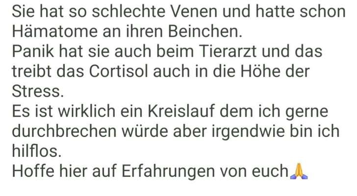 Cushing - Wer hat Erfahrungen?-Beitrag-Bild