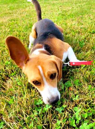 Lieblingsbild :D-Beitrag-Bild