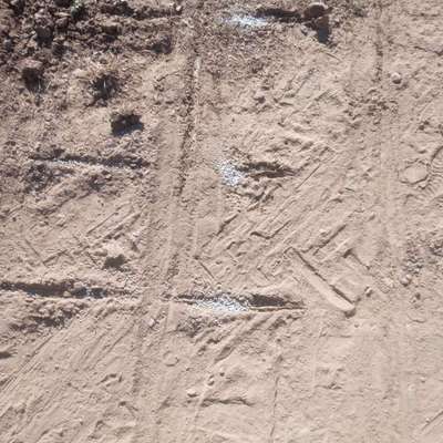 Giftköder-Dünger-Bild