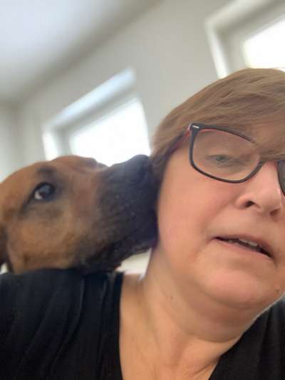 Die lustigsten Selfies mit Deinem Hund !-Beitrag-Bild