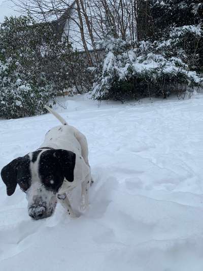 Blick fürs Detail!-Beitrag-Bild