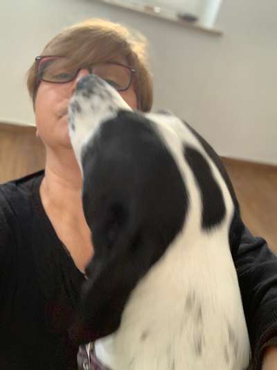 Die lustigsten Selfies mit Deinem Hund !-Beitrag-Bild